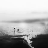 Water Stories - Set of 9 Folded Greeting Cards