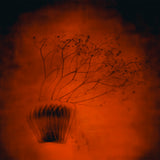 Ephemeral Beauty - Set of 10 Folded Greeting Cards