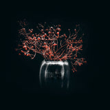 Ephemeral Beauty - Set of 10 Folded Greeting Cards