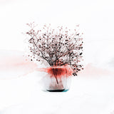 Ephemeral Beauty - Set of 10 Folded Greeting Cards