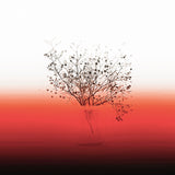 Ephemeral Beauty - Set of 10 Folded Greeting Cards