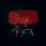 Ephemeral Beauty - Set of 10 Folded Greeting Cards