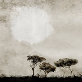 Last Chance - Set of 9 Folded Fine Art Greeting Cards