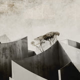 Last Chance - Set of 9 Folded Fine Art Greeting Cards