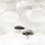 Last Chance - Set of 9 Folded Fine Art Greeting Cards