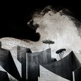 Last Chance - Set of 9 Folded Fine Art Greeting Cards