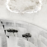 Last Chance - Set of 9 Folded Fine Art Greeting Cards