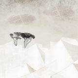 Last Chance - Set of 9 Folded Fine Art Greeting Cards