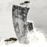 Last Chance - Set of 9 Folded Fine Art Greeting Cards