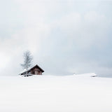 Snowscapes - Set of 9 Folded Greeting Cards