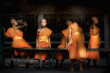 Novice Monks