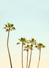 Venice Beach, California - Set of 9 Folded Greeting Cards