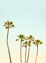 Venice Beach, California - Set of 9 Postcards