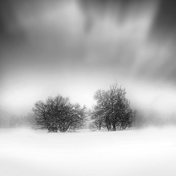 Peaceful Silence
