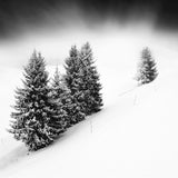 Snowscapes - Set of 9 Folded Greeting Cards