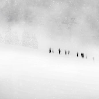 Shadows in the Fog
