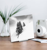 Silent Beauty - Mini Acrylic