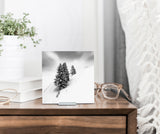 Silent Beauty - Mini Acrylic