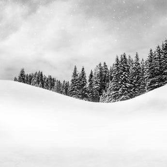 Soft Silence