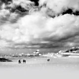 Water Stories - Set of 9 Folded Greeting Cards