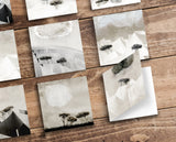 Last Chance - Set of 9 Folded Fine Art Greeting Cards