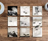 Last Chance - Set of 9 Folded Fine Art Greeting Cards
