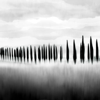 Tuscan Dreams #10