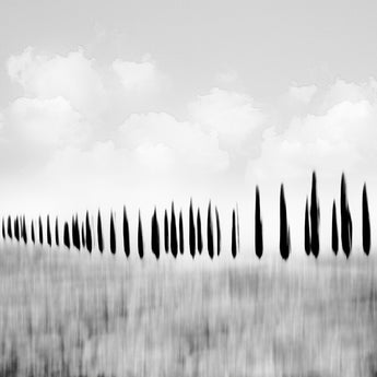 Tuscan Dreams #5