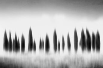 Tuscan Dreams #1