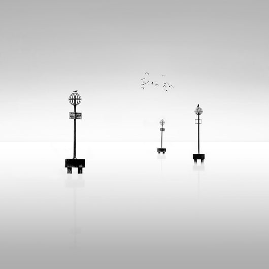 Venice #4