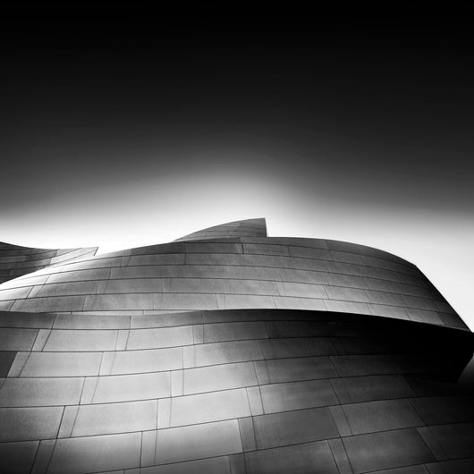 Walt Disney Concert Hall #4, Los Angeles