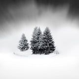 Snowscapes - Set of 9 Folded Greeting Cards