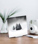 White Beauty - Mini Acrylic