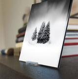 White Beauty - Mini Acrylic