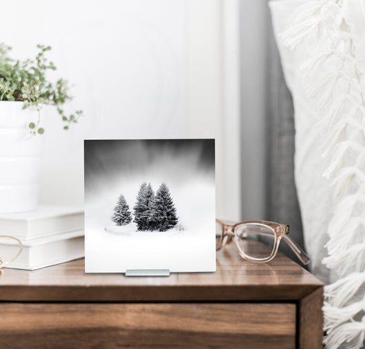 White Beauty - Mini Acrylic