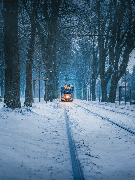 Tram in the Snow