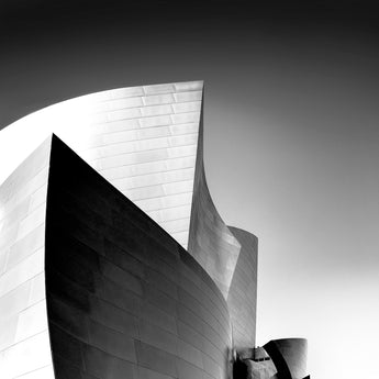 Walt Disney Concert Hall #1, Los Angeles